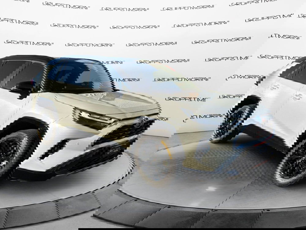 Toyota Rav4 usata a Bologna (8)