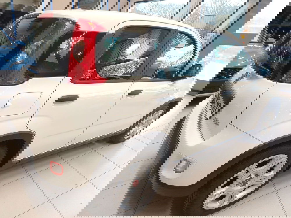 Fiat Panda Cross usata a Ferrara (6)