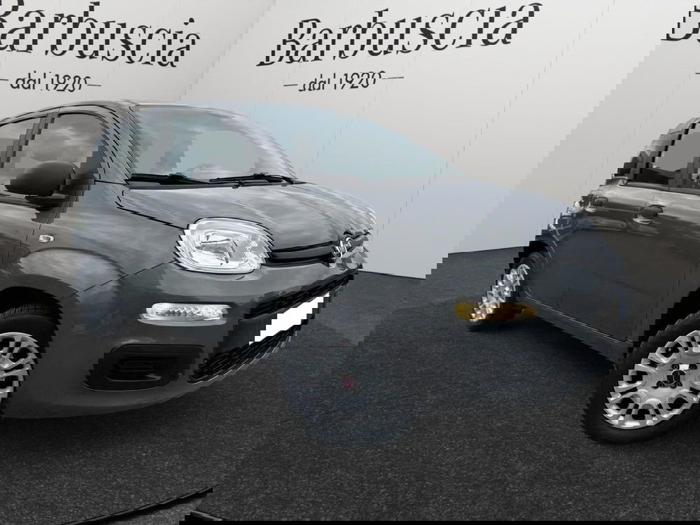 Fiat Panda usata a Pescara