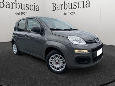 Fiat Panda 1.2 Easy del 2020 usata a Pescara