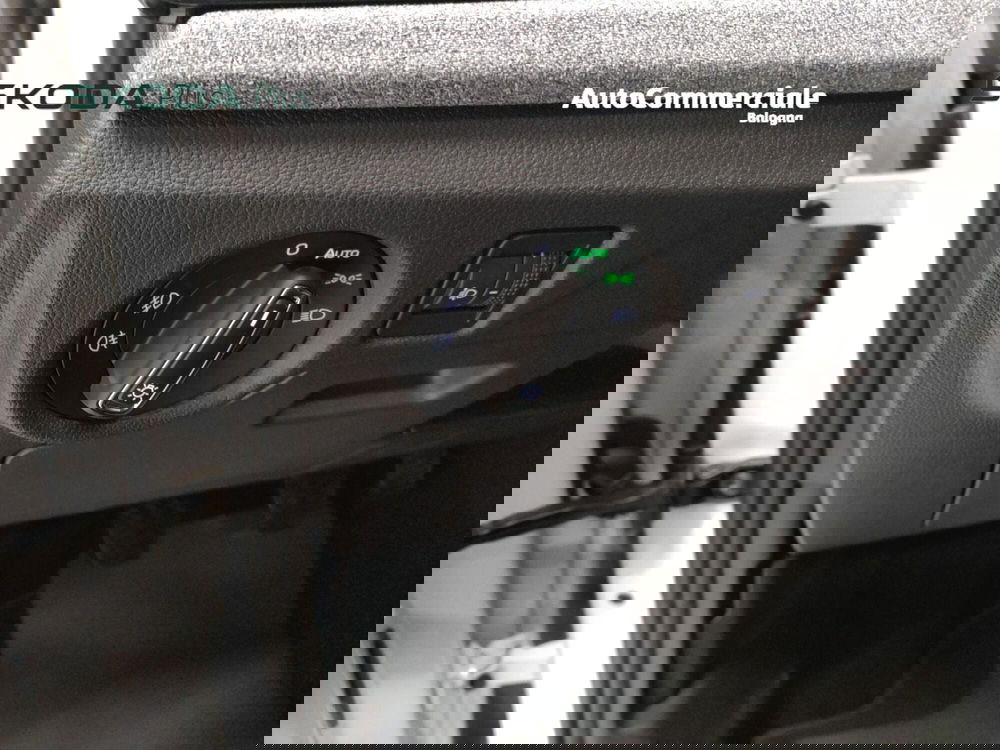 Skoda Kamiq usata a Bologna (10)