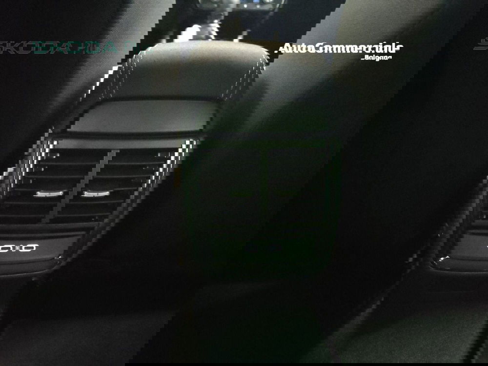 Skoda Kamiq usata a Bologna (15)