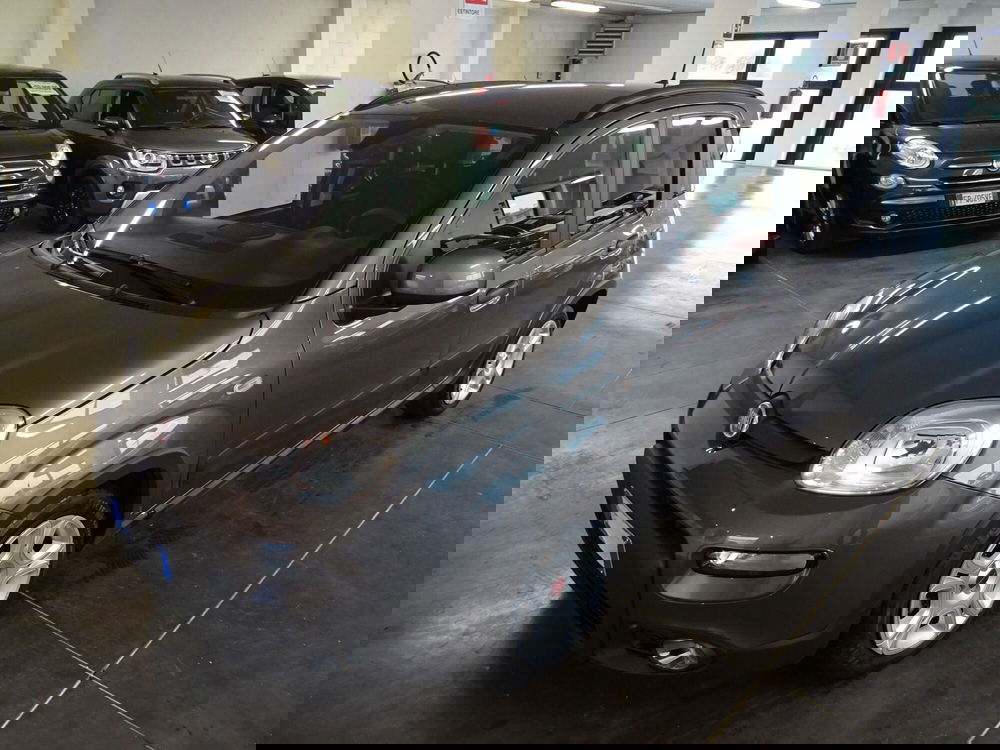 Fiat Panda usata a Lucca