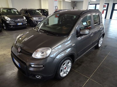 Fiat Panda 1.0 FireFly S&amp;S Hybrid City Cross del 2024 usata a Lucca