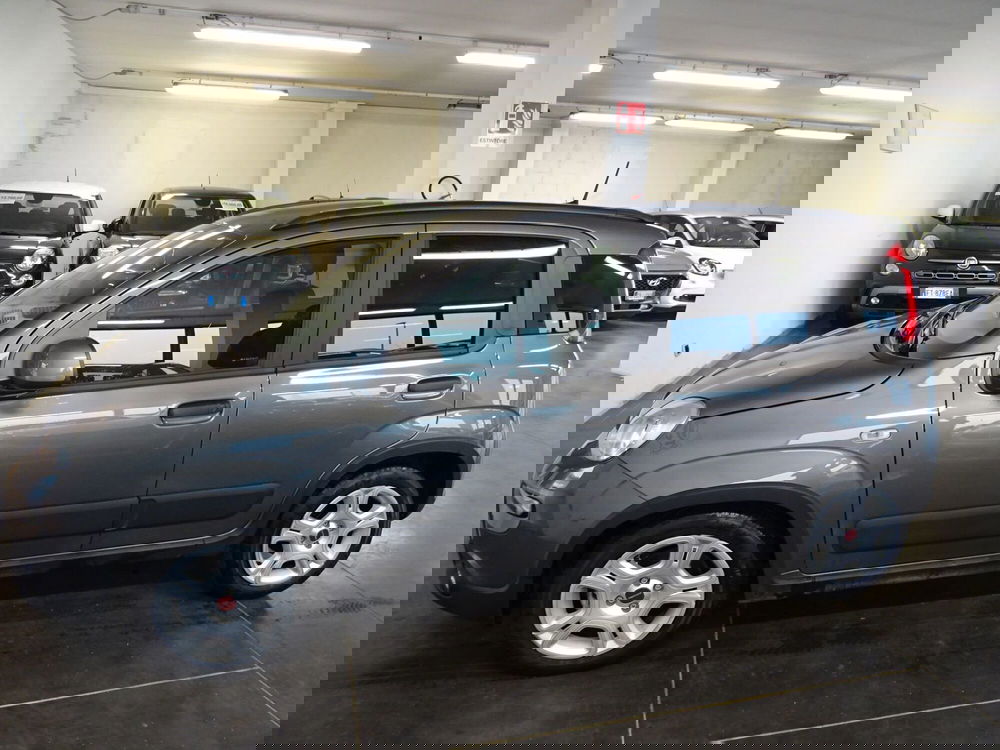 Fiat Panda usata a Lucca (2)