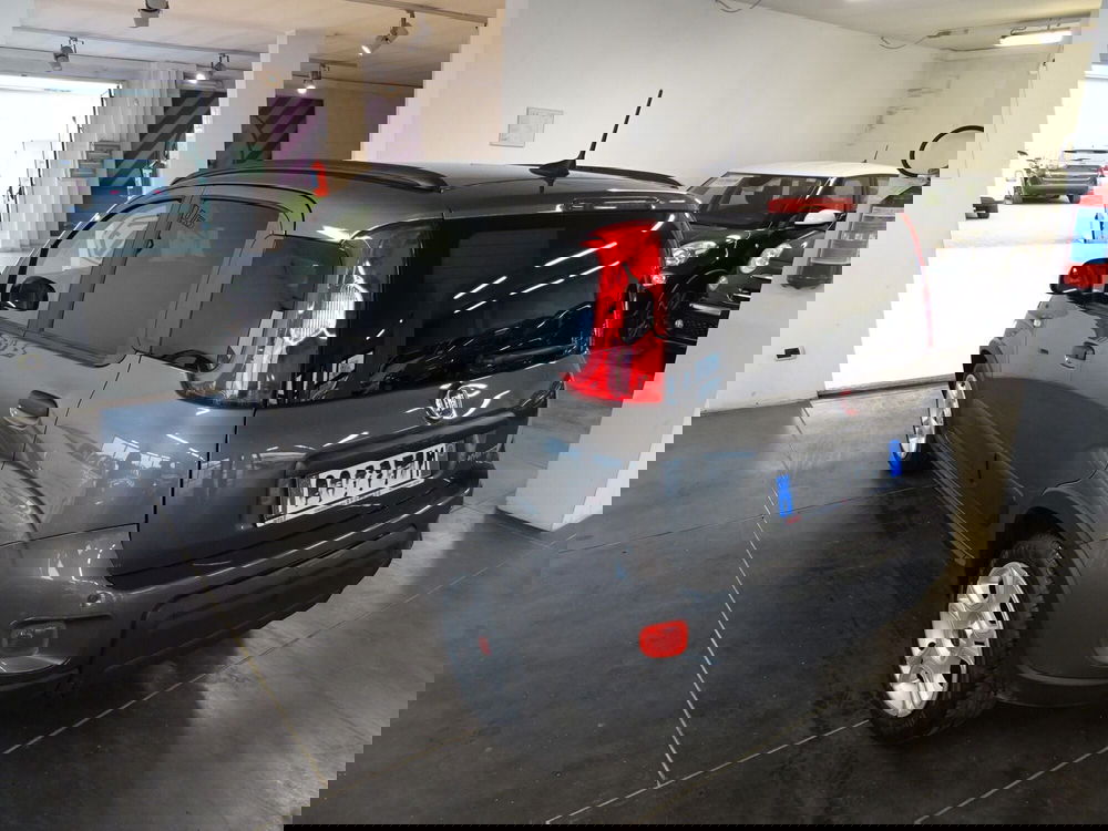 Fiat Panda usata a Lucca (3)