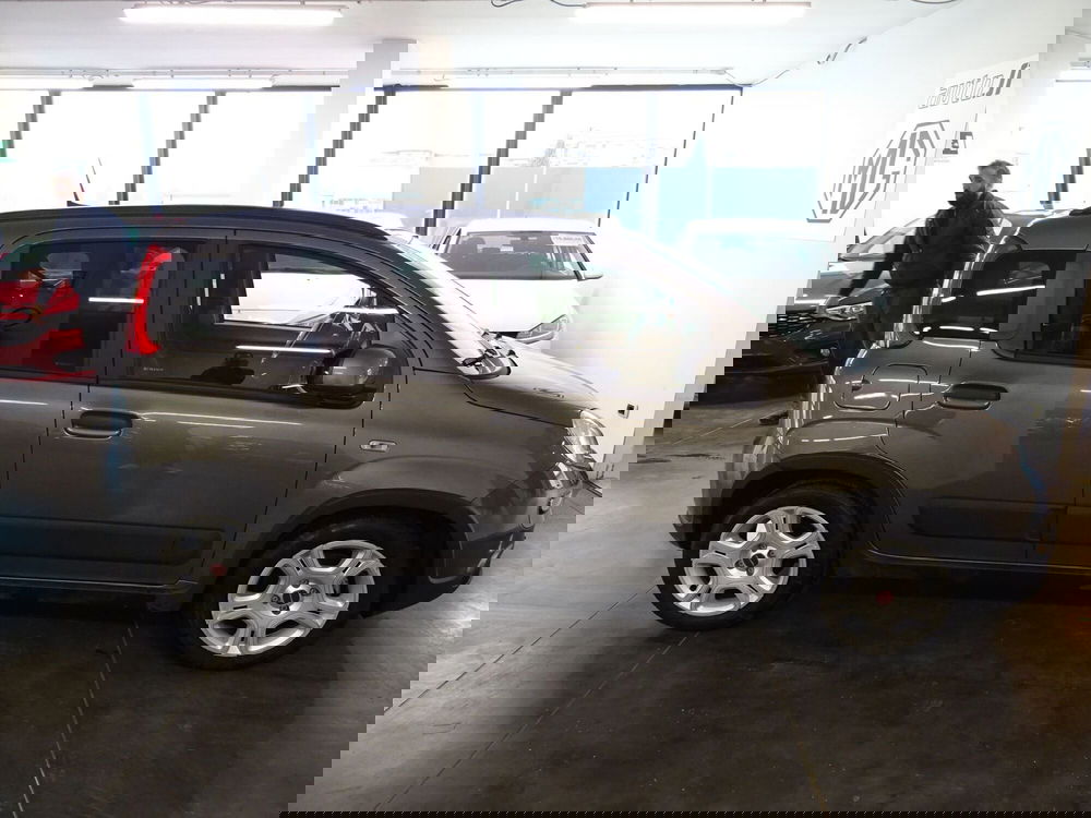 Fiat Panda usata a Lucca (6)