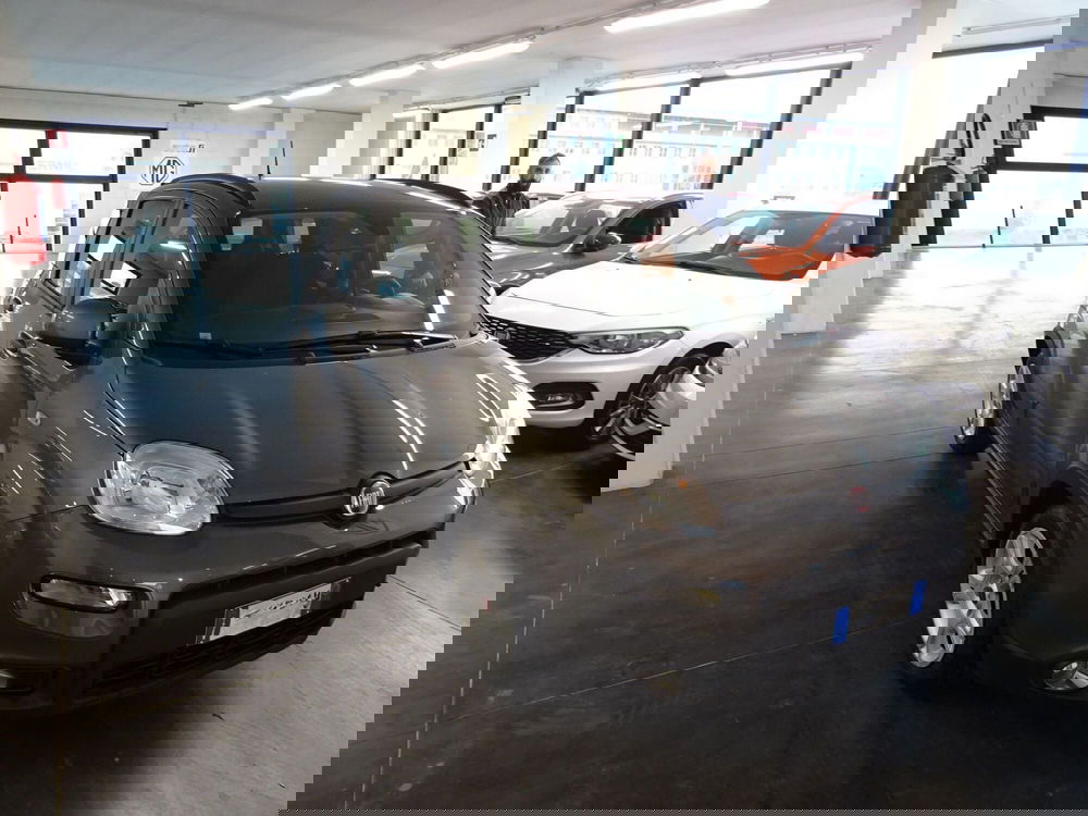 Fiat Panda usata a Lucca (7)