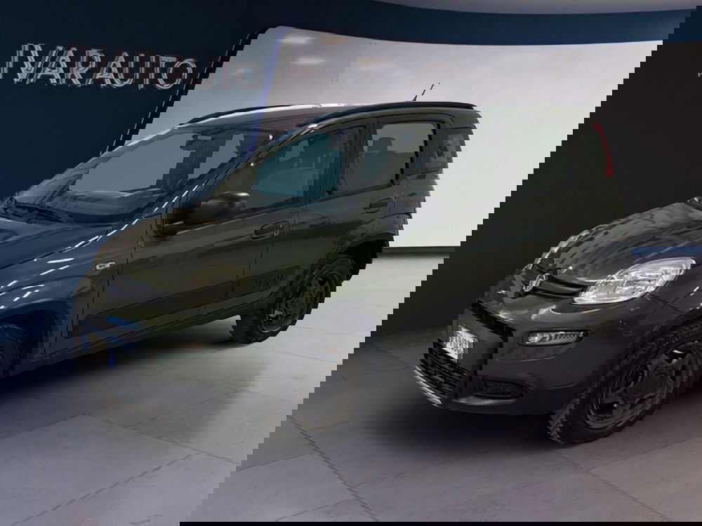 Fiat Panda usata a Arezzo