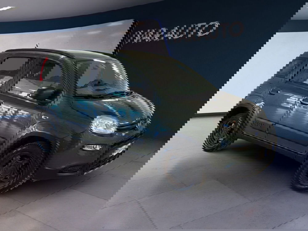 Fiat Panda usata a Arezzo (8)