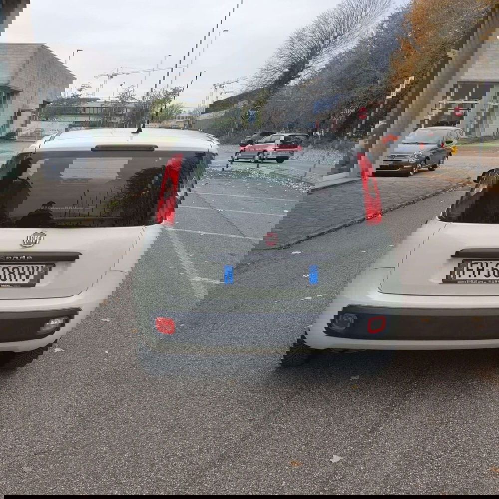 Fiat Panda usata a Padova (6)