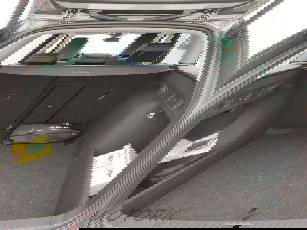 Skoda Octavia Station Wagon usata a Varese (9)