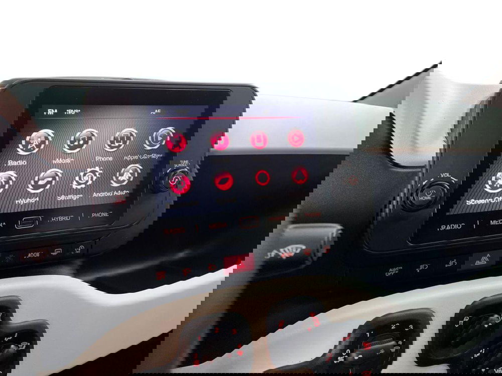 Fiat Pandina usata a Roma (14)