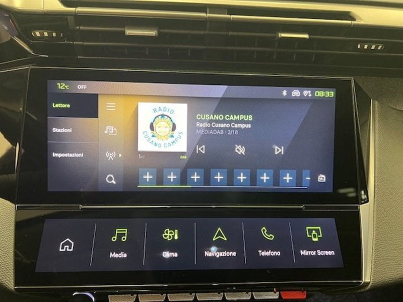 Peugeot 308 SW usata a Alessandria (10)