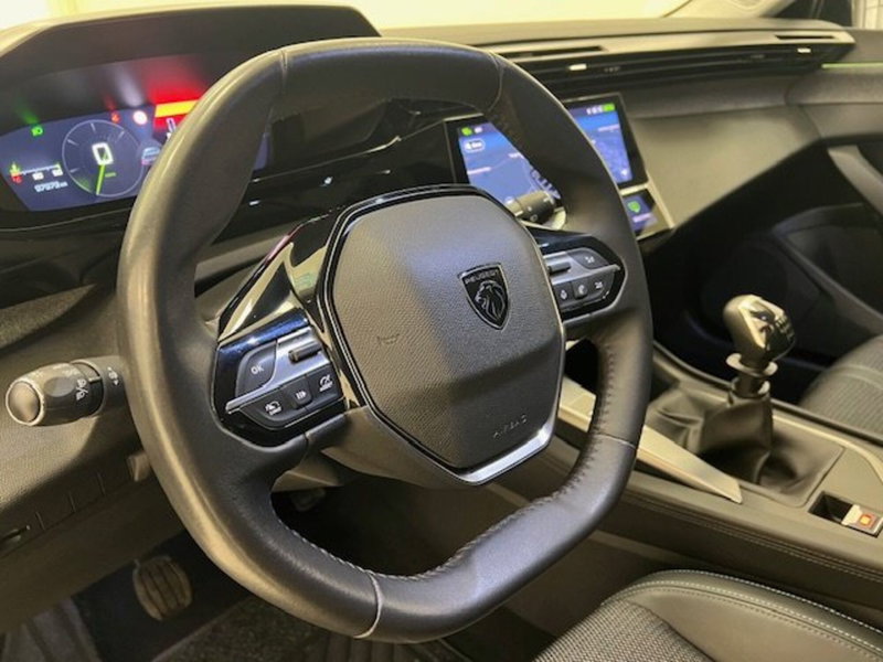 Peugeot 308 SW usata a Alessandria (15)