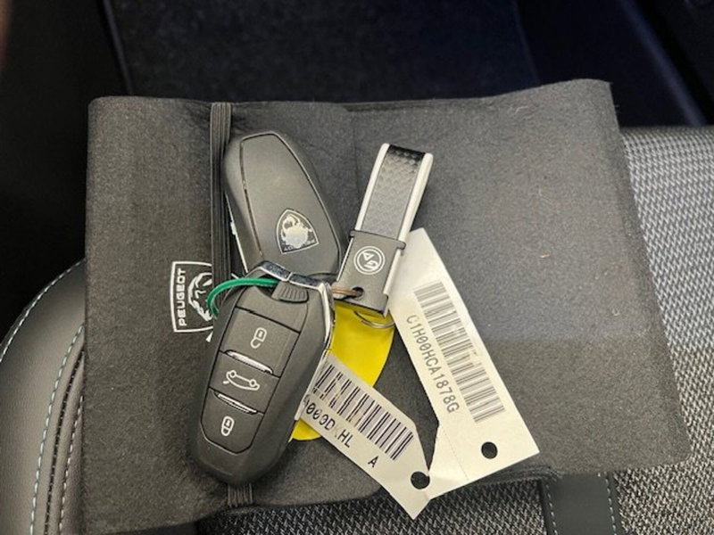 Peugeot 308 SW usata a Alessandria (19)