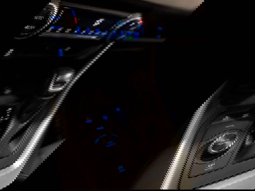 Toyota Rav4 usata a Torino (8)