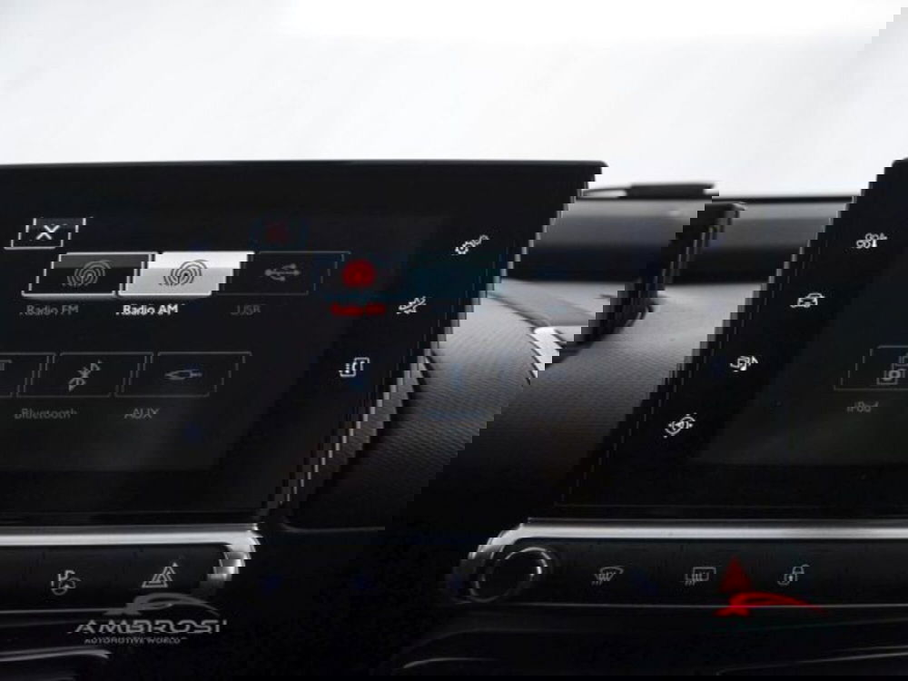 Citroen C4 Cactus usata a Perugia (15)