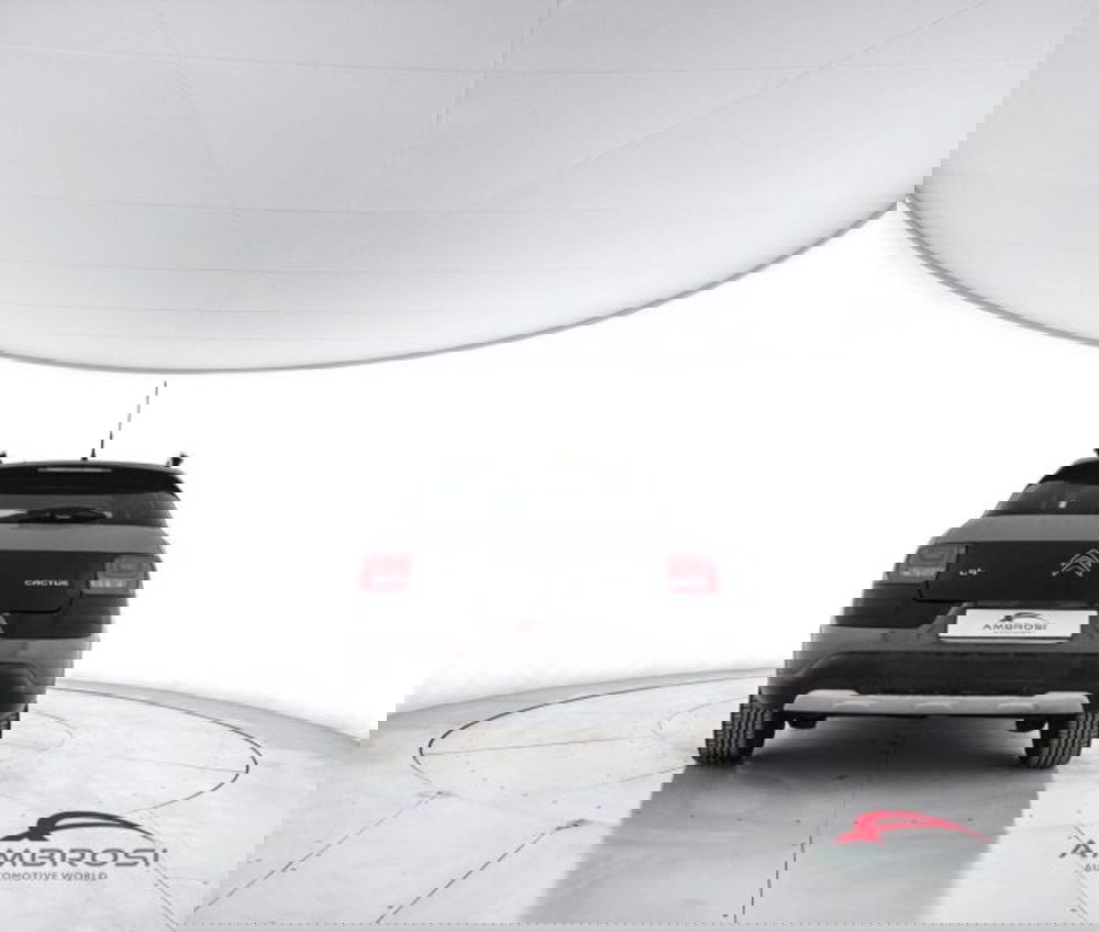 Citroen C4 Cactus usata a Perugia (6)