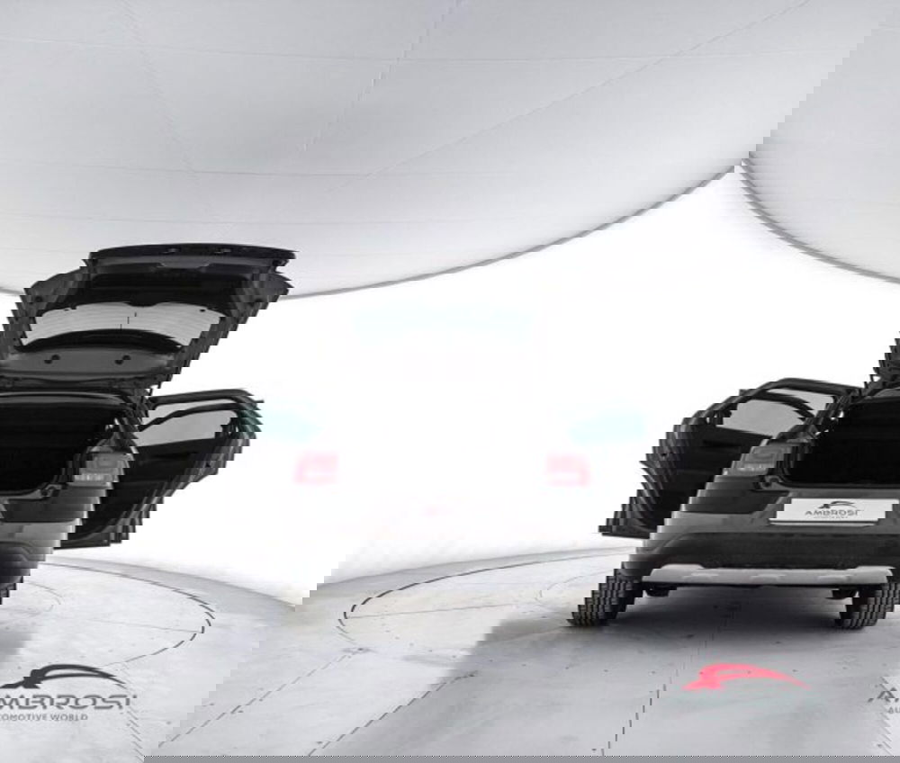 Citroen C4 Cactus usata a Perugia (7)