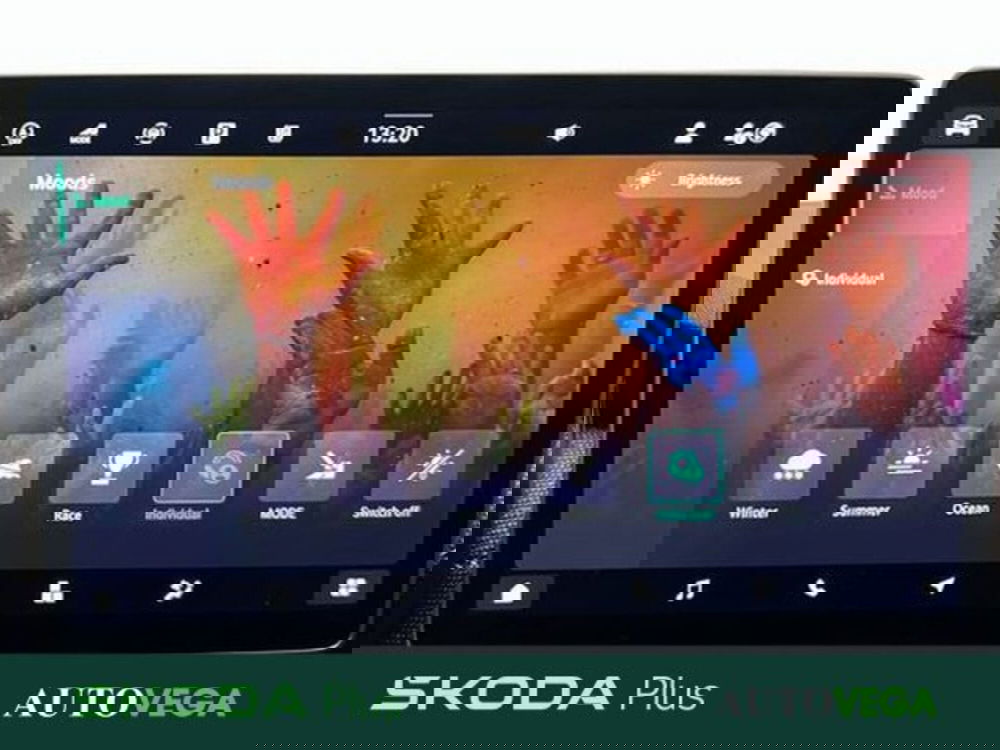 Skoda Kodiaq usata a Vicenza (15)