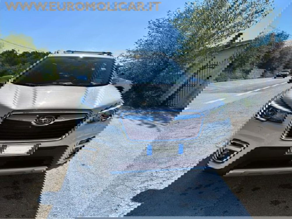 Subaru Forester usata a Campobasso (12)