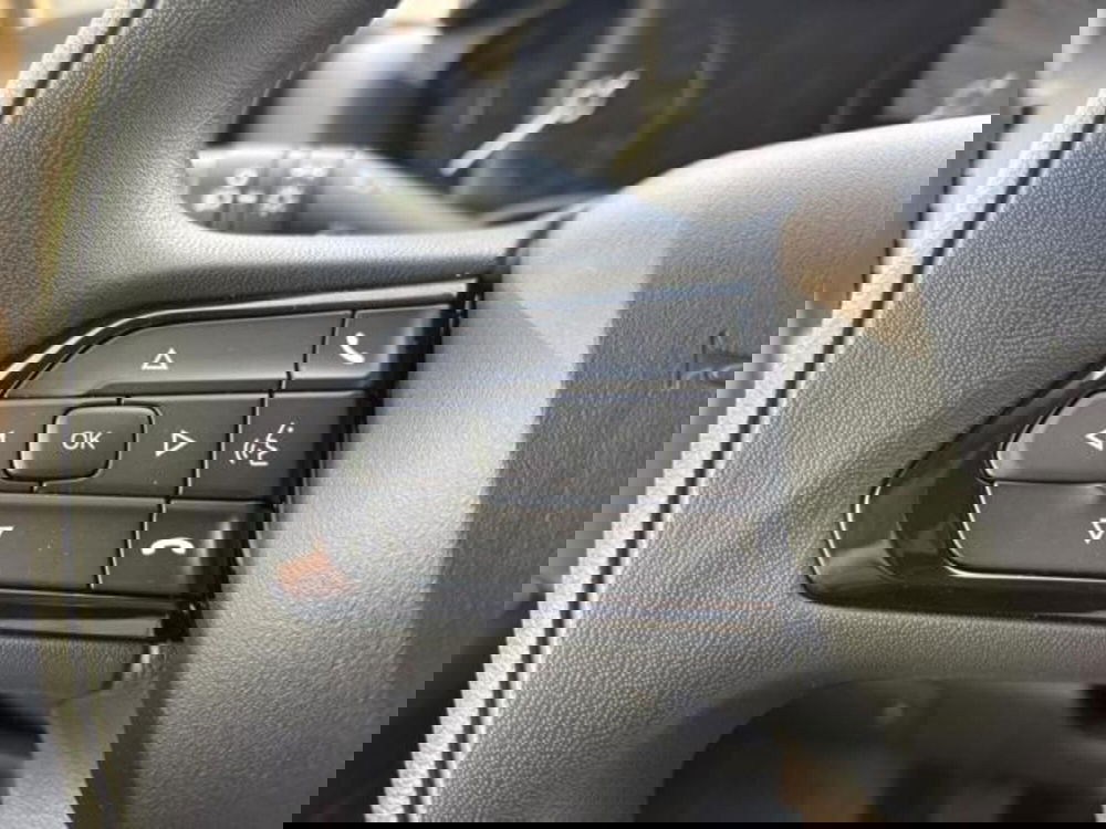 Fiat Ducato nuova a Brescia (13)