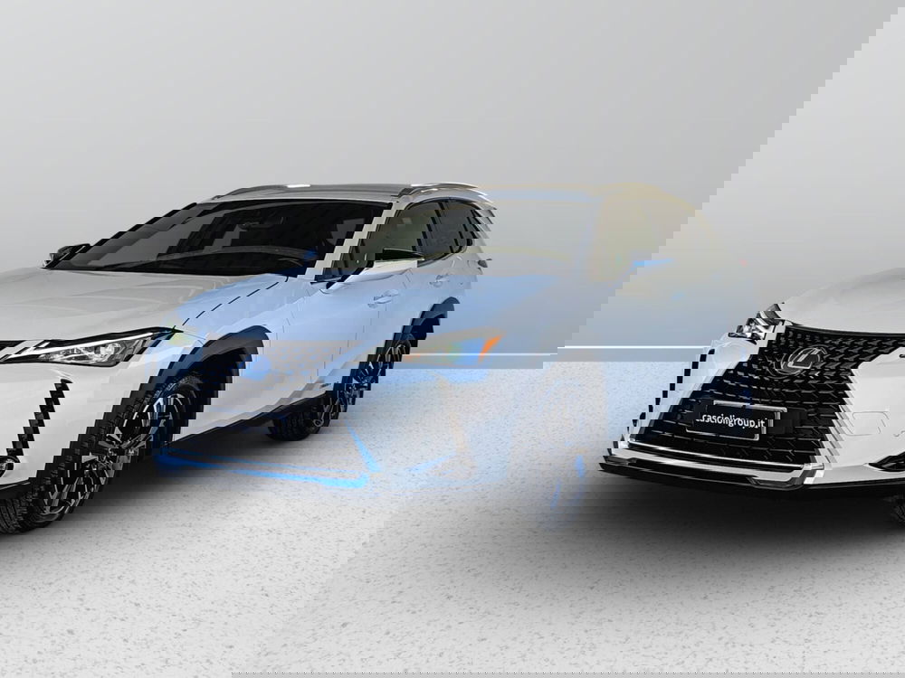 Lexus UX usata a Ascoli Piceno