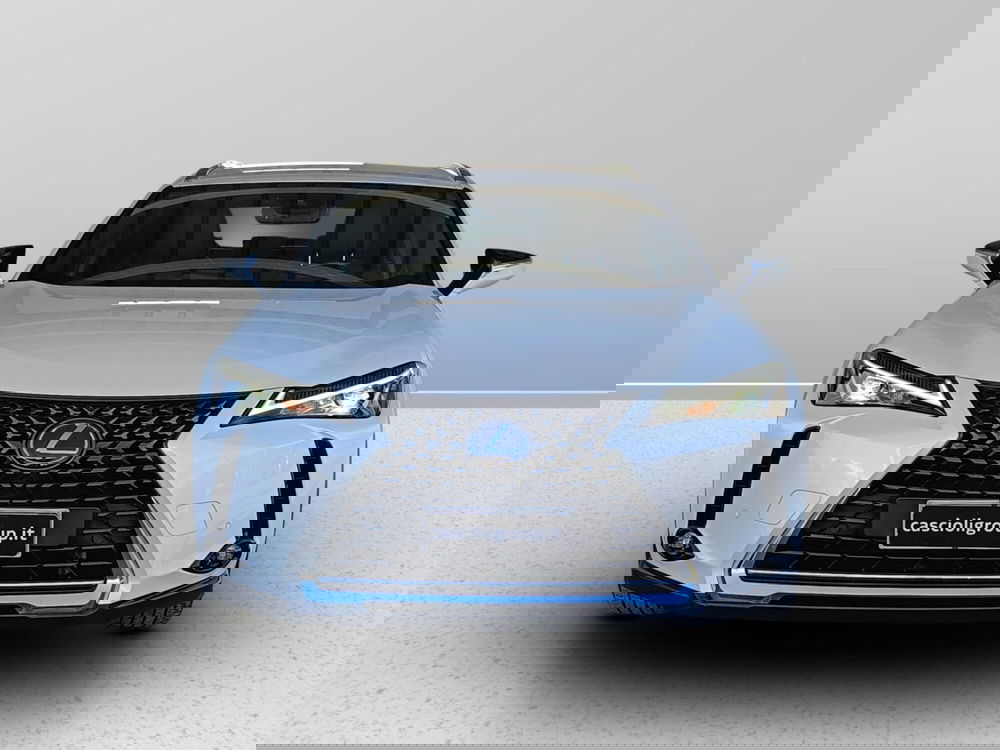 Lexus UX usata a Ascoli Piceno (2)