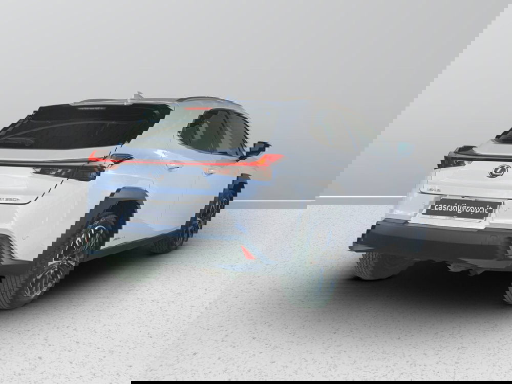 Lexus UX usata a Ascoli Piceno (4)