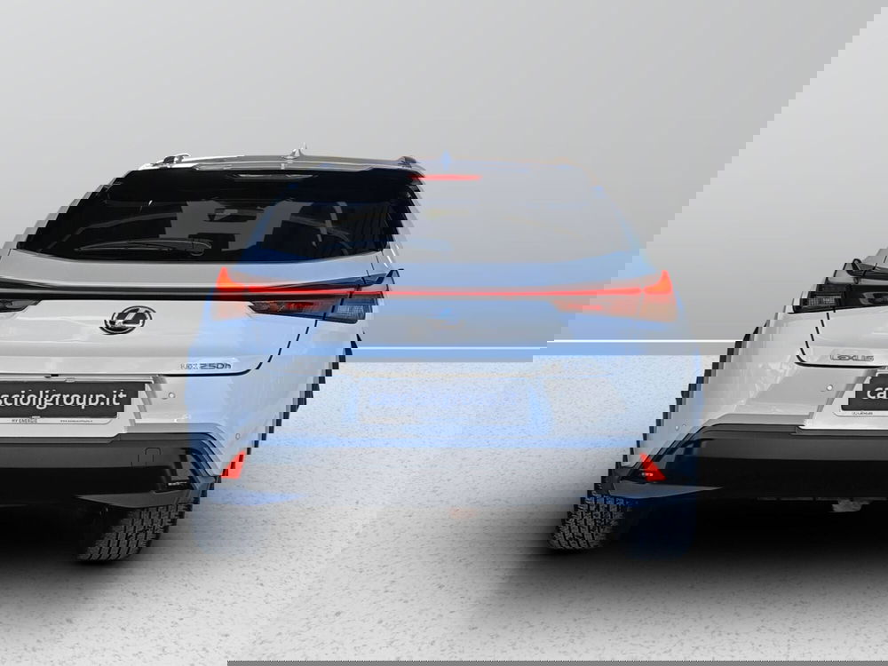 Lexus UX usata a Ascoli Piceno (5)