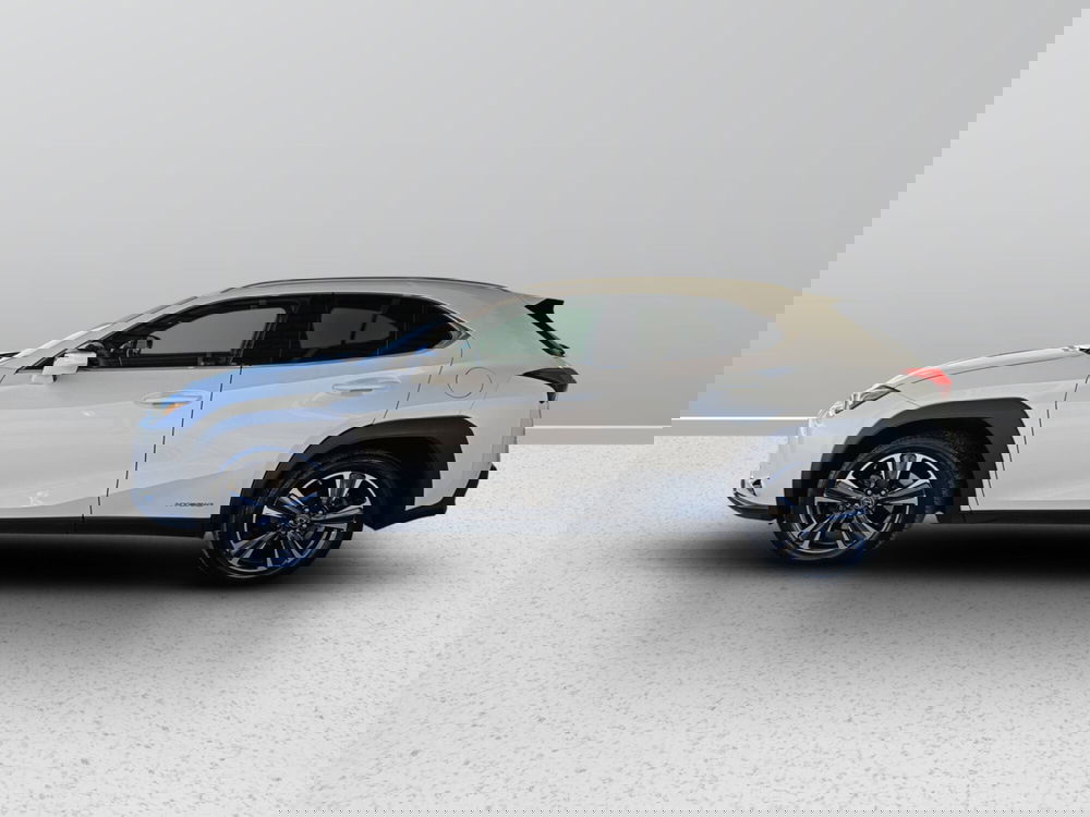 Lexus UX usata a Ascoli Piceno (6)