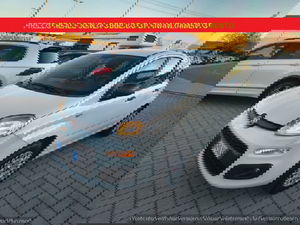 Fiat Panda usata a Firenze