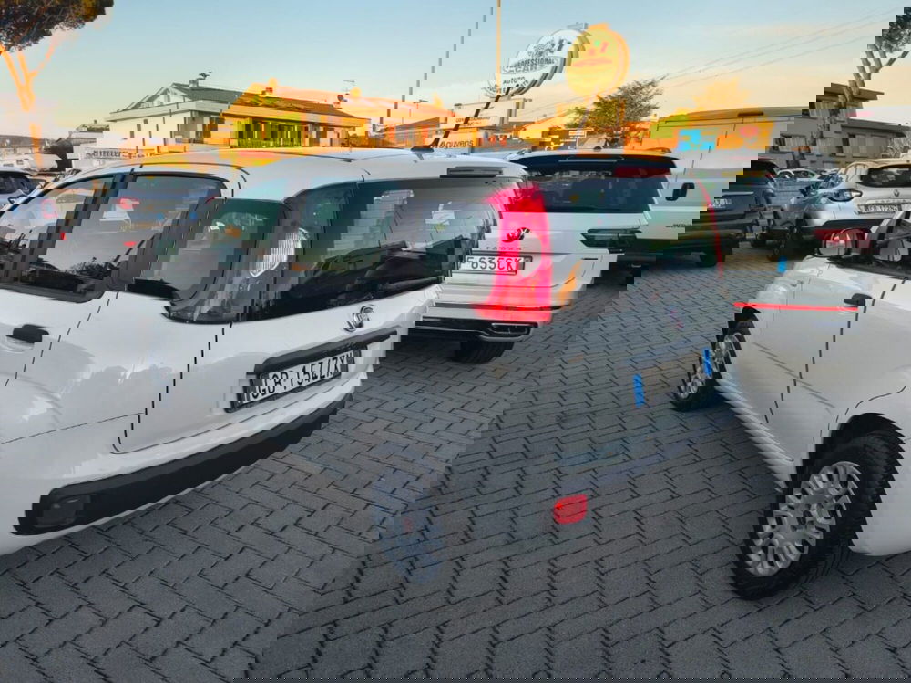 Fiat Panda usata a Firenze (6)