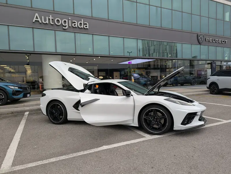Corvette Corvette C8 Coupe usata a Treviso (12)