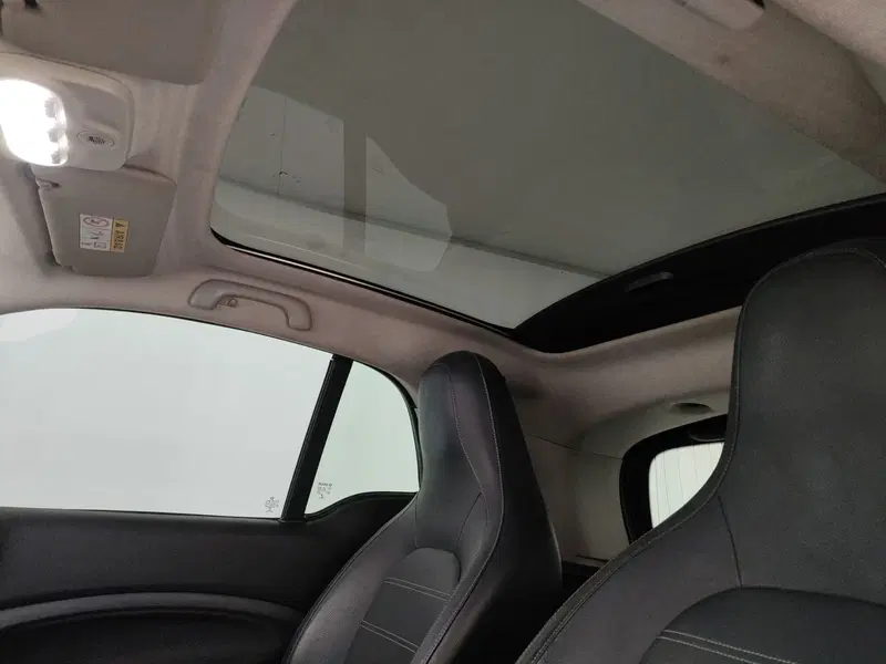 smart Fortwo usata a Caserta (13)