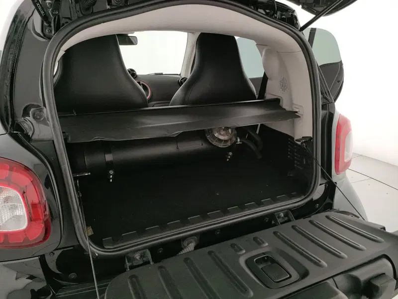 smart Fortwo usata a Caserta (7)