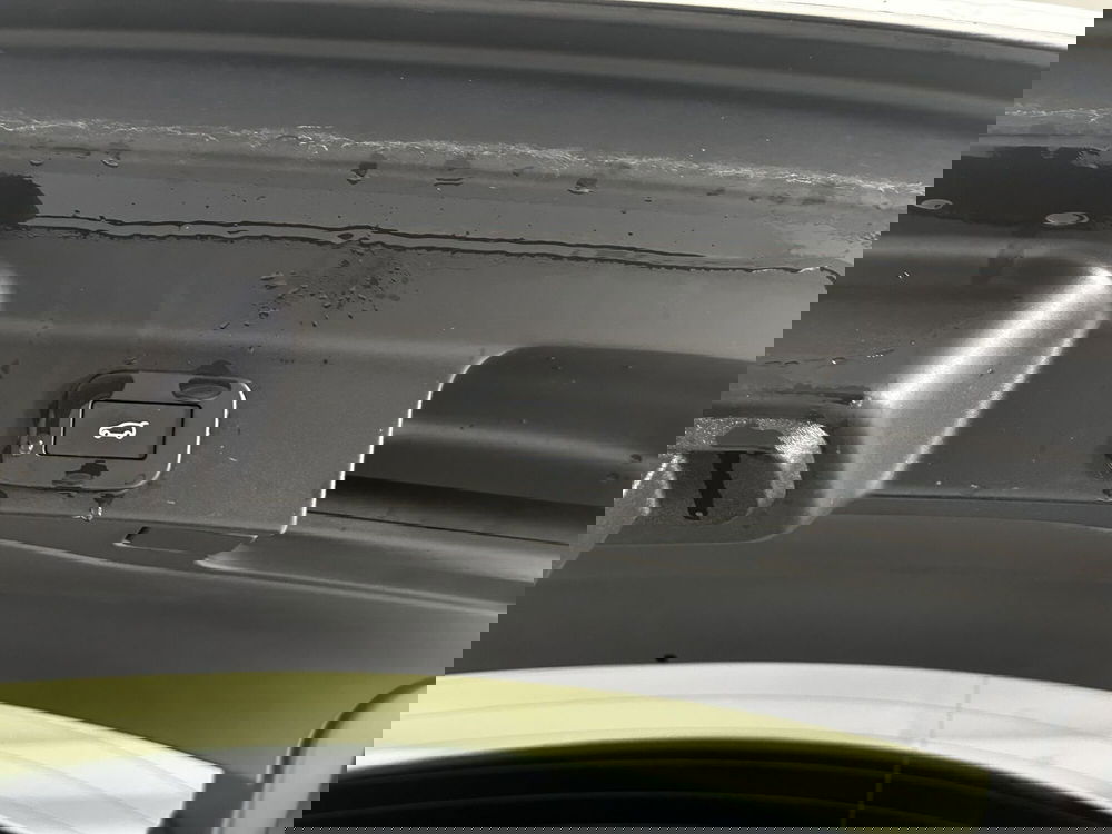 Jaguar F-Pace usata a Torino (18)