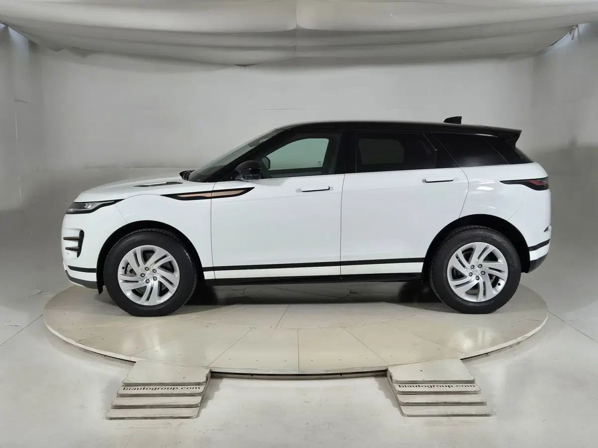Land Rover Range Rover Evoque usata a Torino (6)