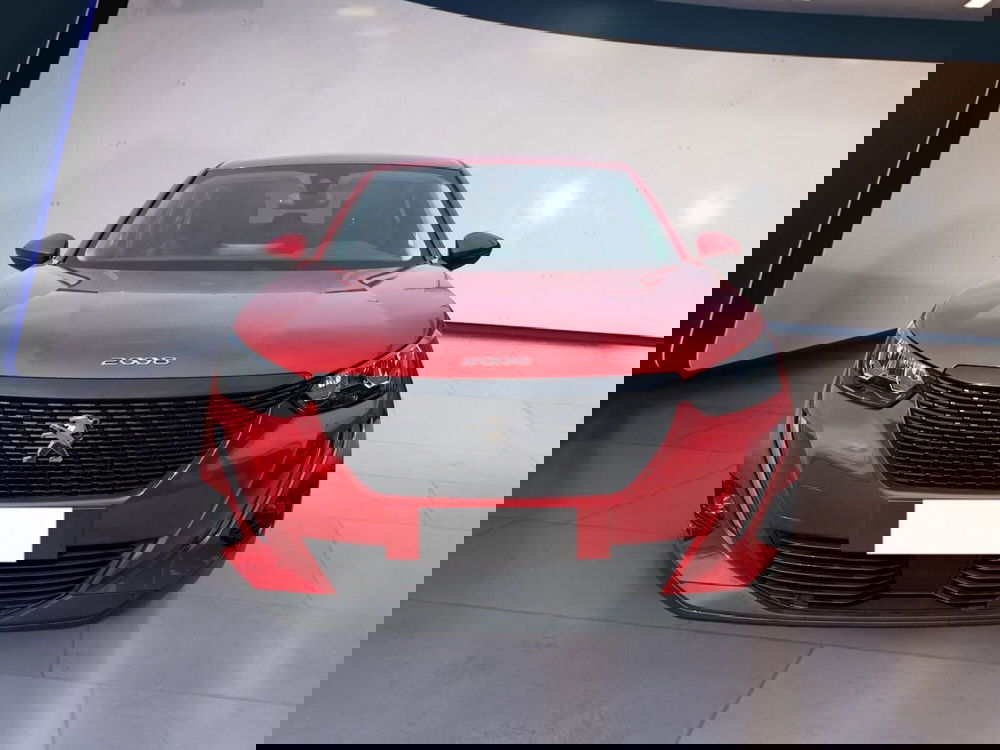 Peugeot 2008 usata a Torino