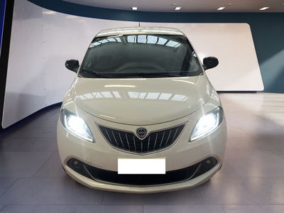 Lancia Ypsilon 1.2 69 CV 5 porte GPL Ecochic Alberta Ferretti del 2023 usata a Torino