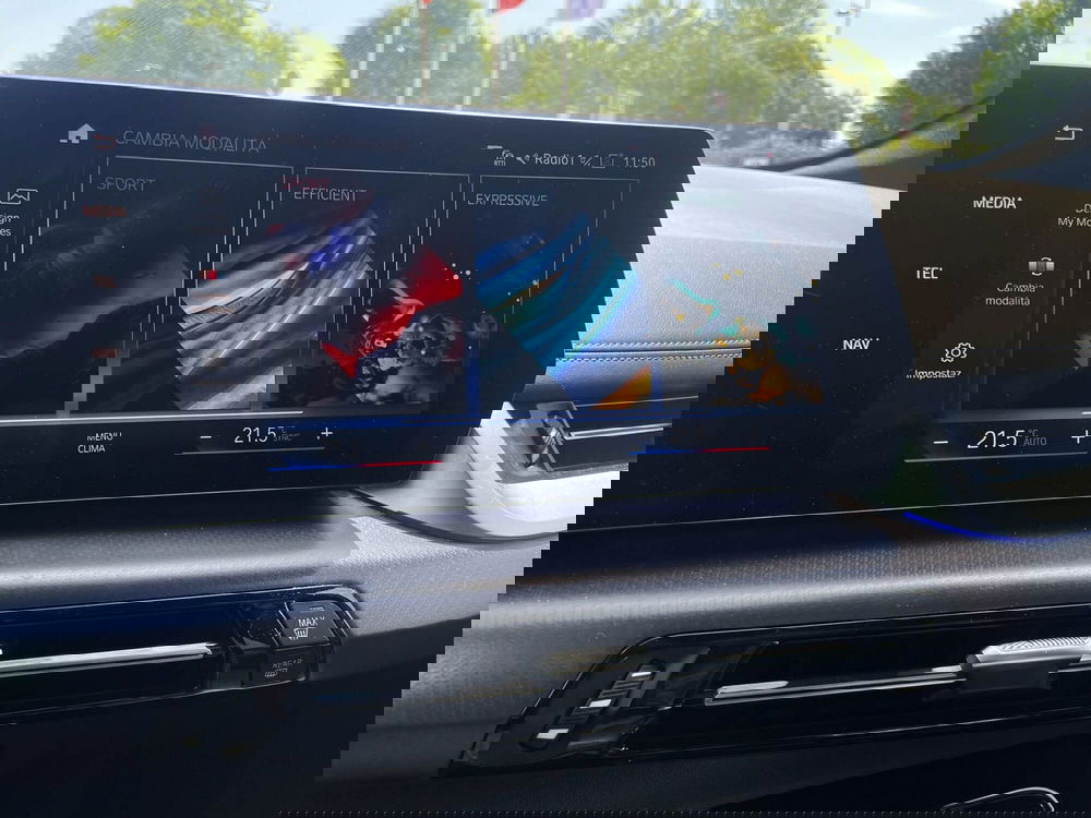 BMW Serie 2 Active Tourer usata a Treviso (13)