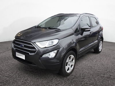 Ford EcoSport 1.0 EcoBoost 100 CV Plus del 2019 usata a Montebelluna