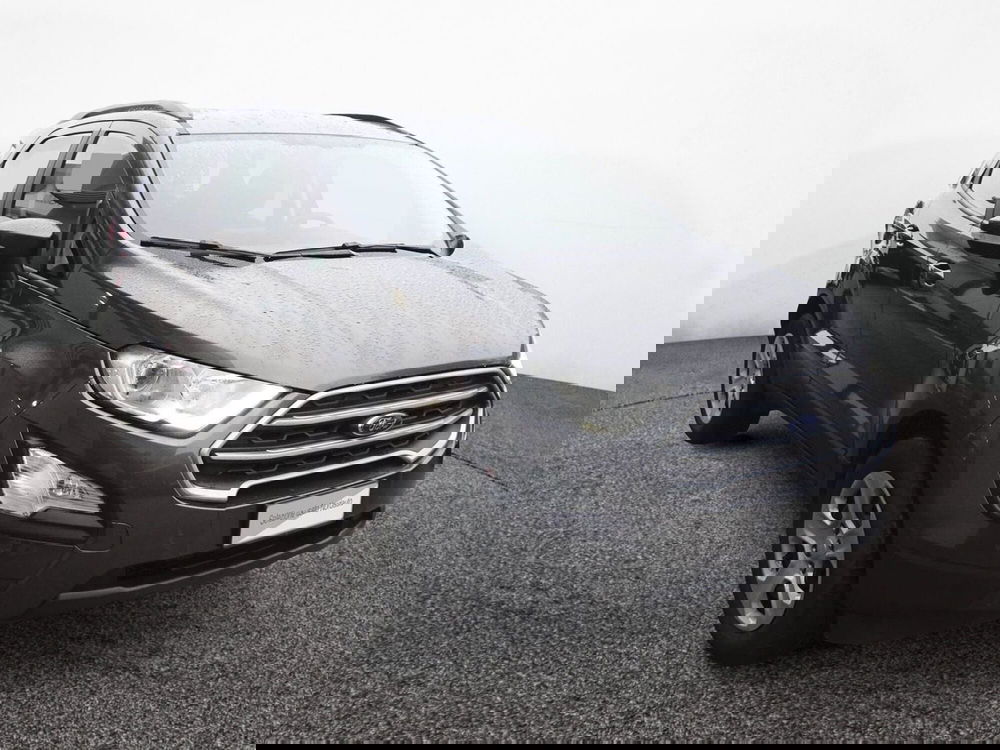 Ford EcoSport usata a Treviso (3)