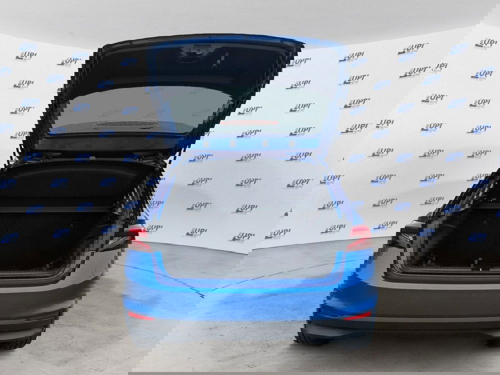 Skoda Fabia usata a Pistoia (9)