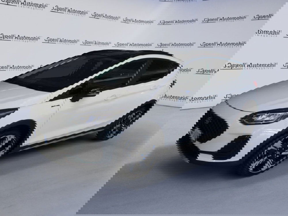 Ford Fiesta usata a Cremona