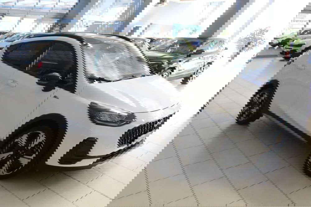 Ford Fiesta usata a Cremona (2)