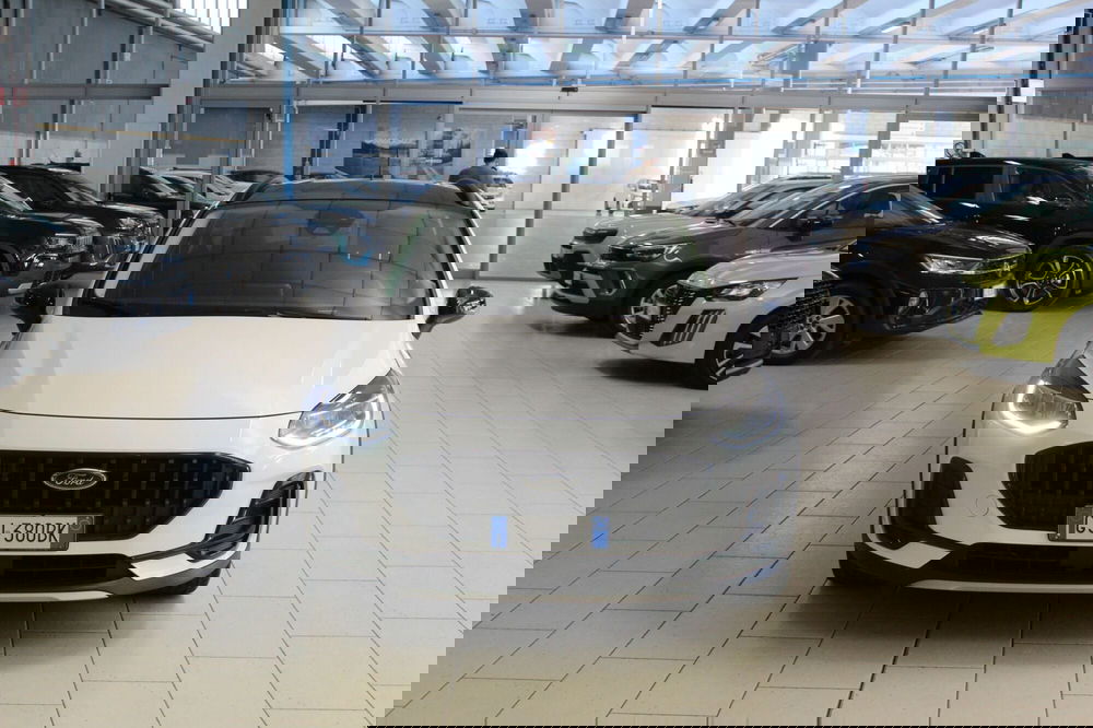 Ford Fiesta usata a Cremona (3)
