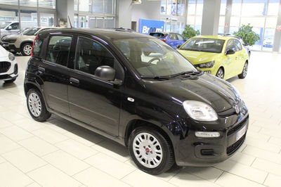 Fiat Panda Cross Cross 1.0 FireFly S&amp;S Hybrid del 2022 usata a Casalmaggiore