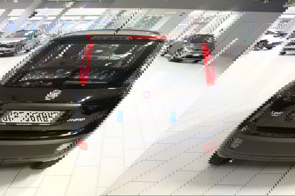 Fiat Panda Cross usata a Cremona (3)